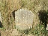 image of grave number 336619